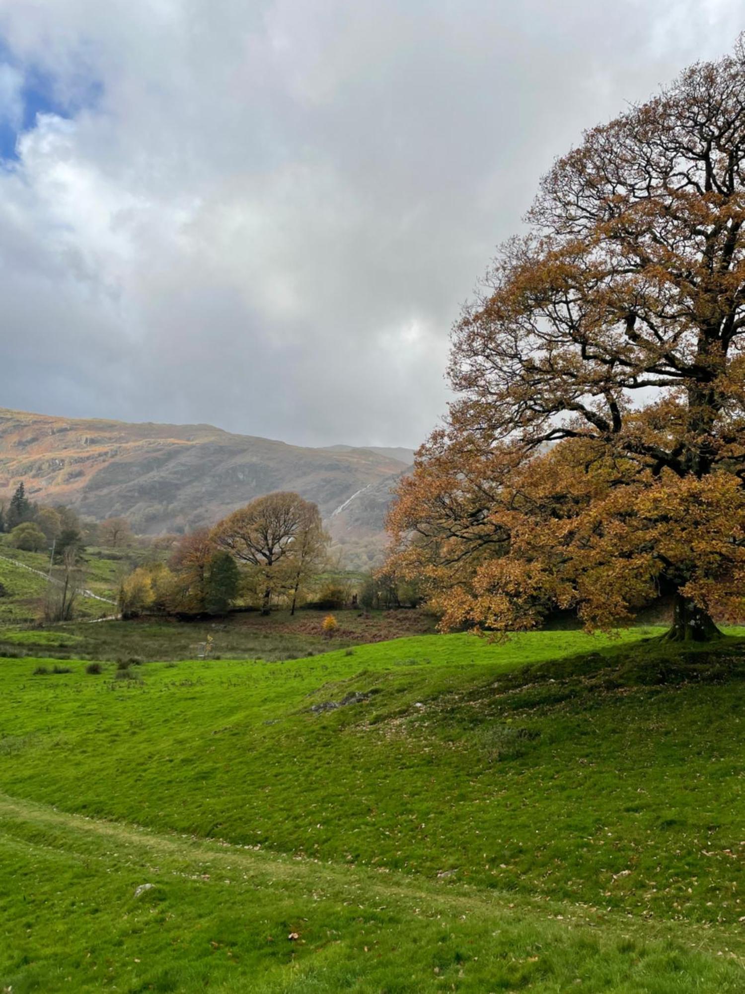 No4 Low House Cottages Coniston Exterior foto